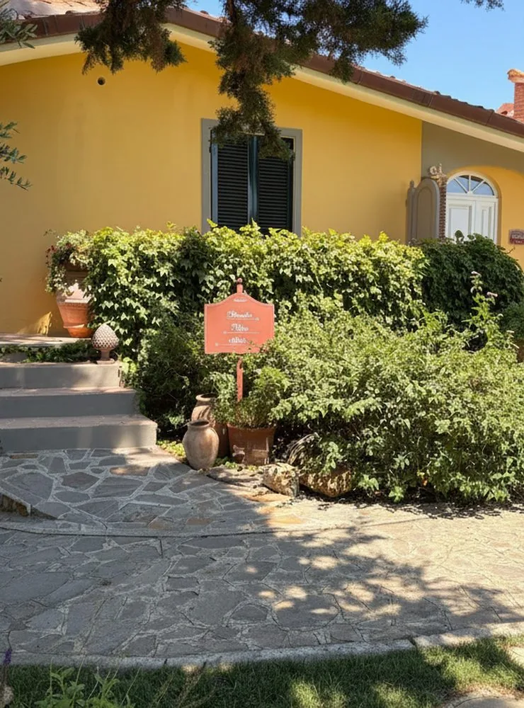 Olivo — foto 5